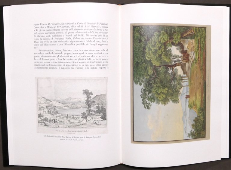 Arte - L. Fino - Vesuvio e i Campi Flegrei …