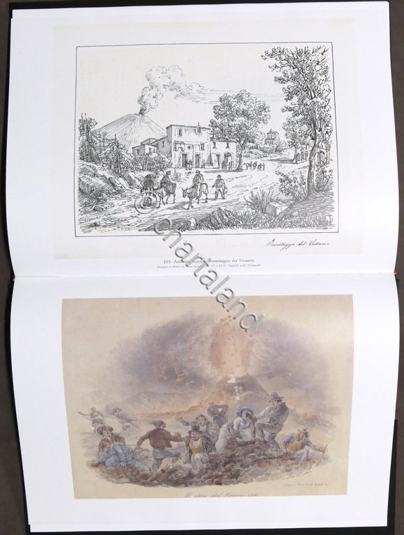 Arte - L. Fino - Vesuvio e i Campi Flegrei …