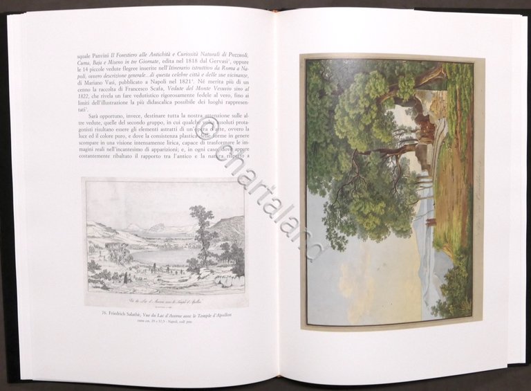 Arte - L. Fino - Vesuvio e i Campi Flegrei …