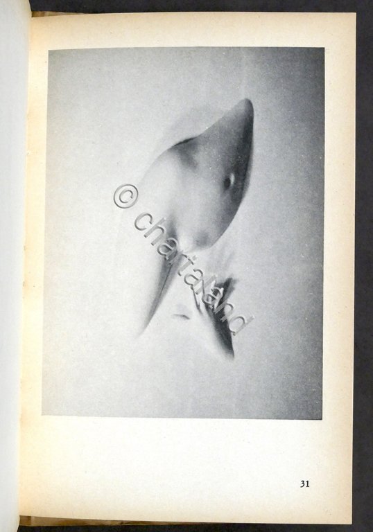Arte contemporanea Galleria Eros 1973 / 1974 Opera completa - …