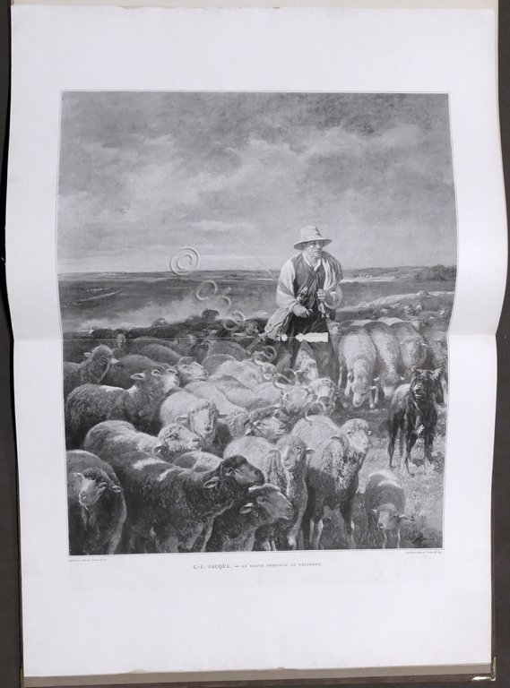 Arte Pittura - Albert Wolff - Figaro-Salon - 1888