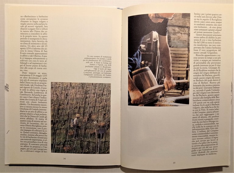 Associazione tra produttori del Grignolino d'Asti - Grignolino: l'Ambiente 1987