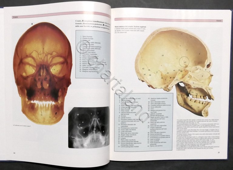 Atlante a colori di anatomia umana - Opera completa - …