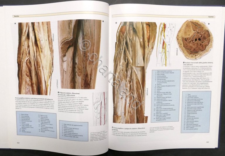 Atlante a colori di anatomia umana - Opera completa - …