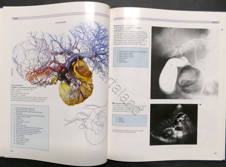 Atlante a colori di anatomia umana - Opera completa - …