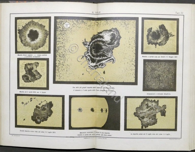 Atlante Astronomico compilato e diretto dal Dott. G. Naccari - …