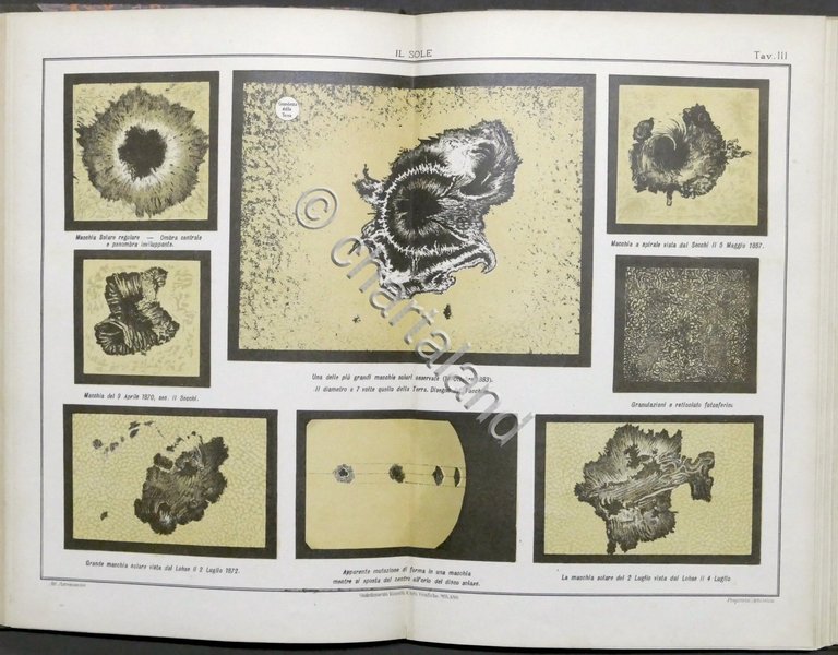 Atlante Astronomico compilato e diretto dal Dott. G. Naccari - …