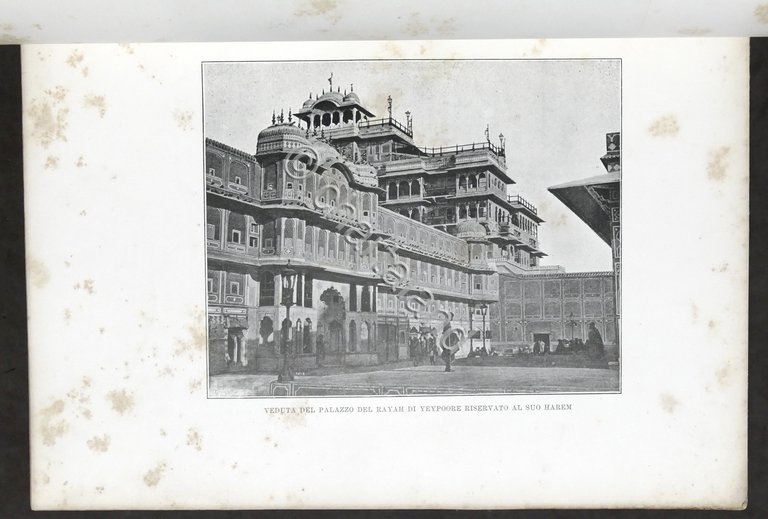 Augusto Torlonia - Undici Mesi in Viaggio - 1^ ed. …