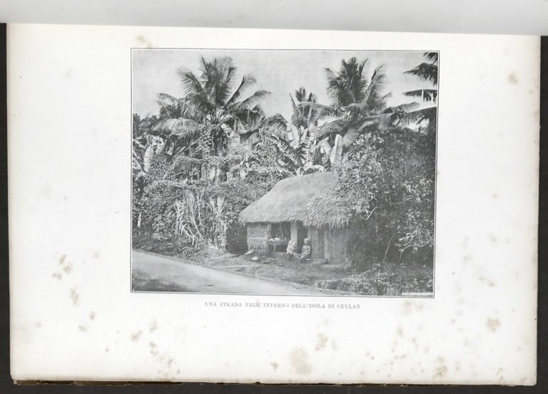 Augusto Torlonia - Undici Mesi in Viaggio - 1^ ed. …