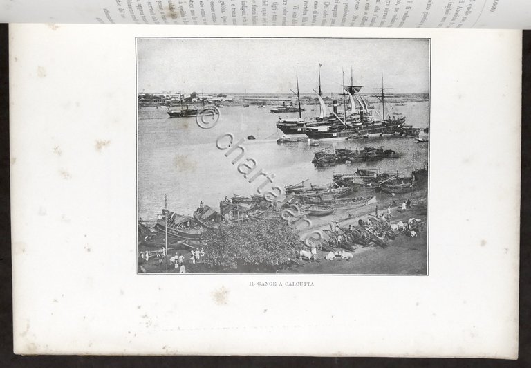 Augusto Torlonia - Undici Mesi in Viaggio - 1^ ed. …