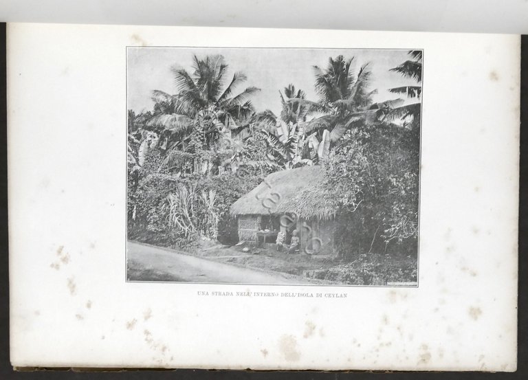 Augusto Torlonia - Undici Mesi in Viaggio - 1^ ed. …