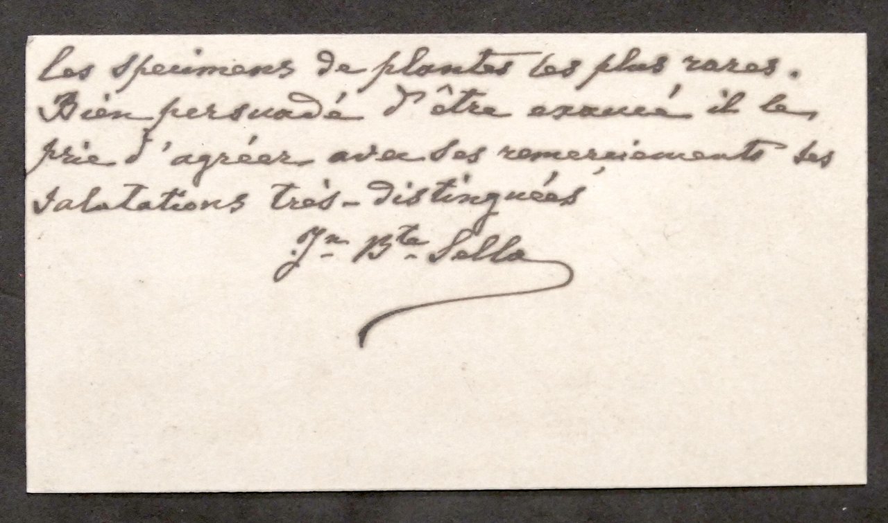 Autografo Giovanni Battista Sella (Famiglia Sella) su biglietto da visita …