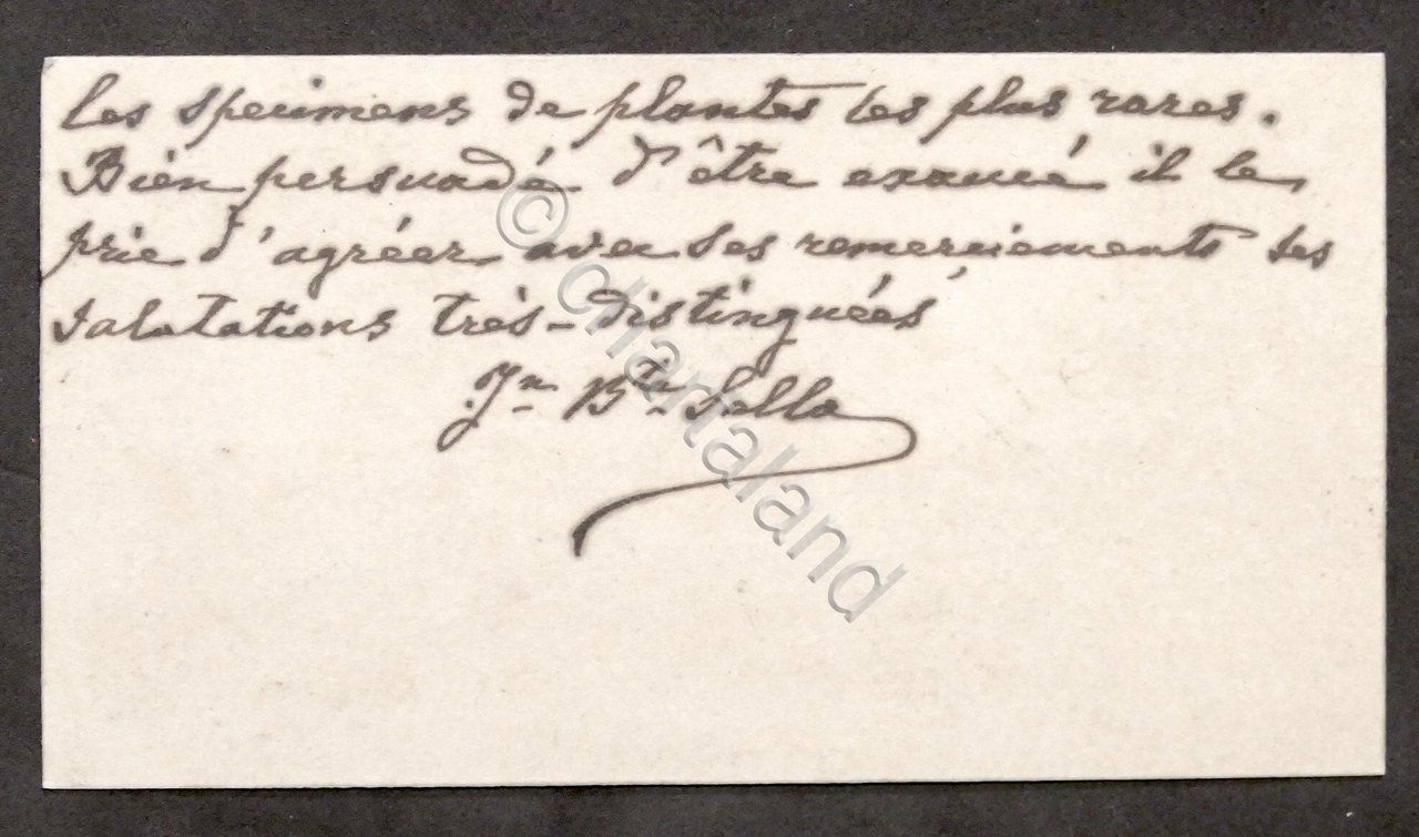 Autografo Giovanni Battista Sella (Famiglia Sella) su biglietto da visita …