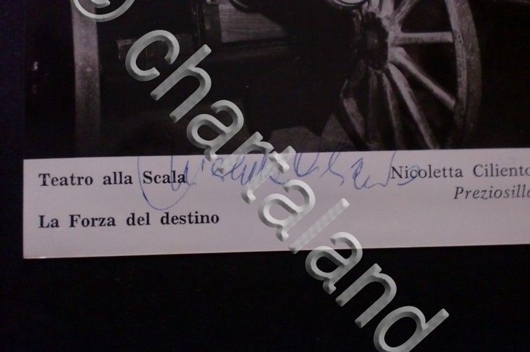 Autografo su fotografia - Nicoletta Ciliento - Mezzosoprano italiano | Immagine Gallery 4
