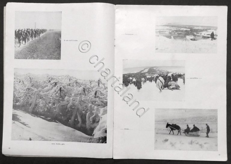 Battaglione Tirano - Adunata nel primo anniversario della ricostituzione - … | Immagine Gallery 4