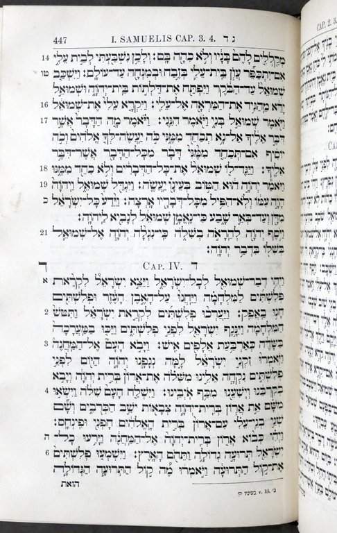 Bibbia Ebraica - Torah - fine '800