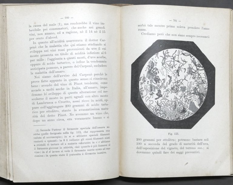 Biblioteca Agraria - O. Ottavi - Enologia teorico-pratica - ed. …
