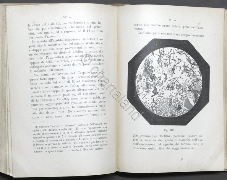 Biblioteca Agraria - O. Ottavi - Enologia teorico-pratica - ed. …
