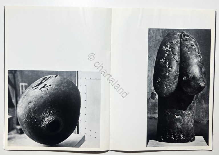 Biennale di Venezia XXXIV - Padiglione Tedesco - 1968 | Immagine Gallery 3