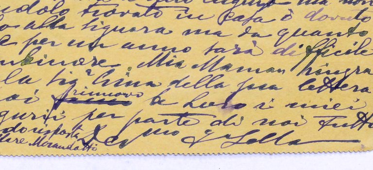 Biglietto postale con Autografo di Federico Sella (Famiglia Sella) - …