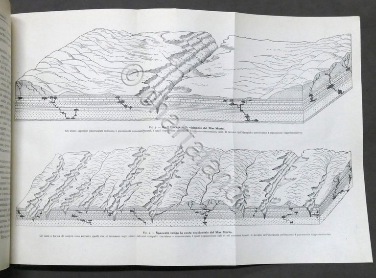 Bollettino della R. Società Geografica Italiana - Serie VI - …