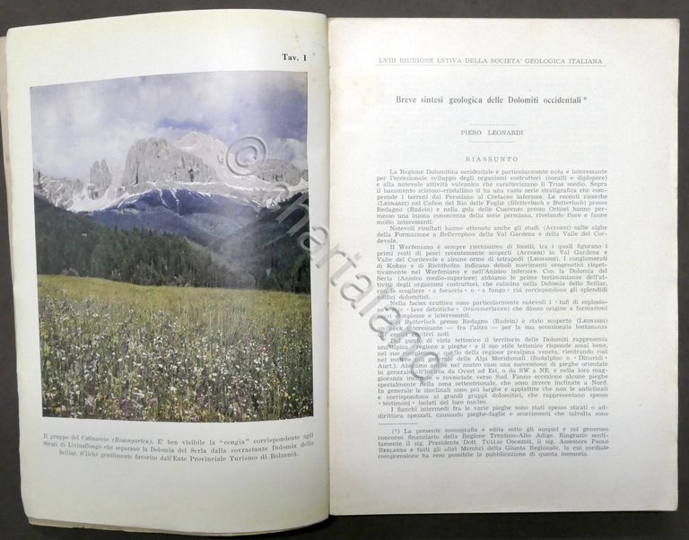 Bollettino Società Geologica Italiana - Dicembre 1955 - Dolomiti Occidentali