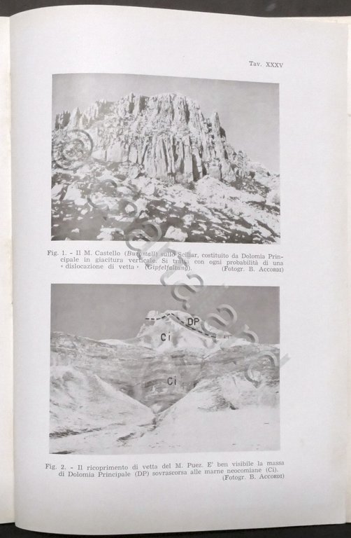 Bollettino Società Geologica Italiana - Dicembre 1955 - Dolomiti Occidentali