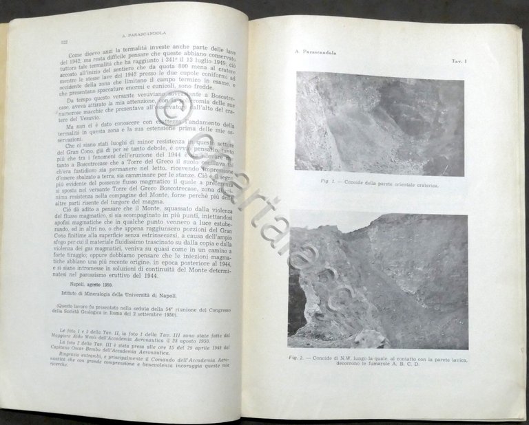 Bollettino Società Geologica Italiana Dicembre 1951 - Stato del Vesuvio …