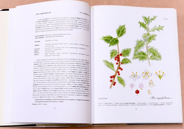 Botanica - R. Mezzena - Frutti selvatici, mangerecci e velenosi …