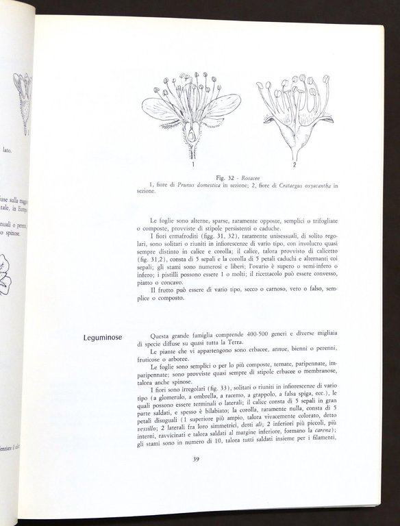 Botanica - Renato Mezzena - Flora del Carso - ed. …