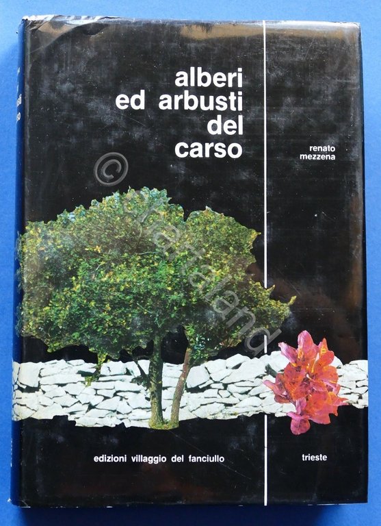 Botanica Agraria - Mezzena - Alberi ed arbusti del Carso …