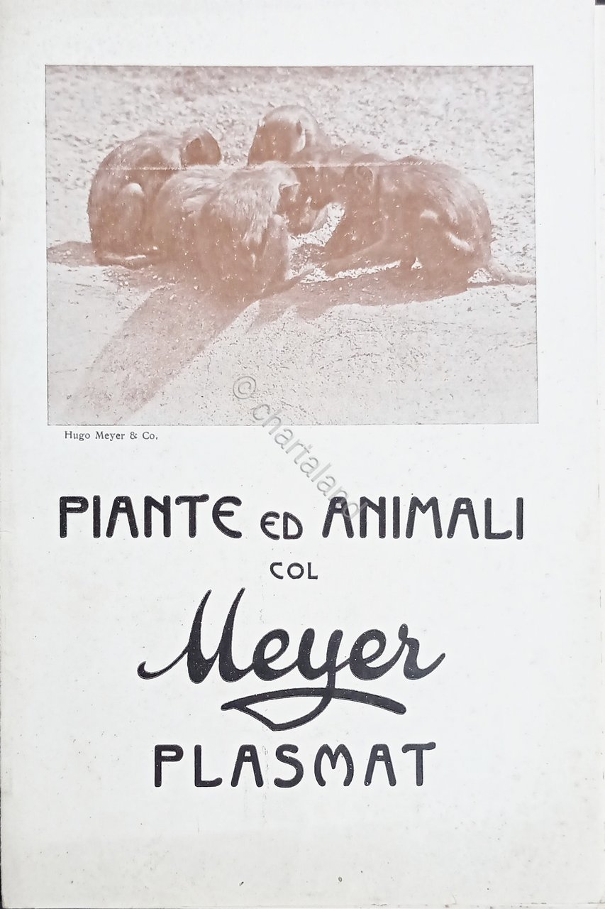 Brochure Fotografia - Piante ed Animali col Meyer Plasma - …