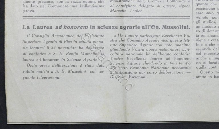 Bullettino dell'Agricoltura N. 49 - 1925 - Laurea ad honorem …