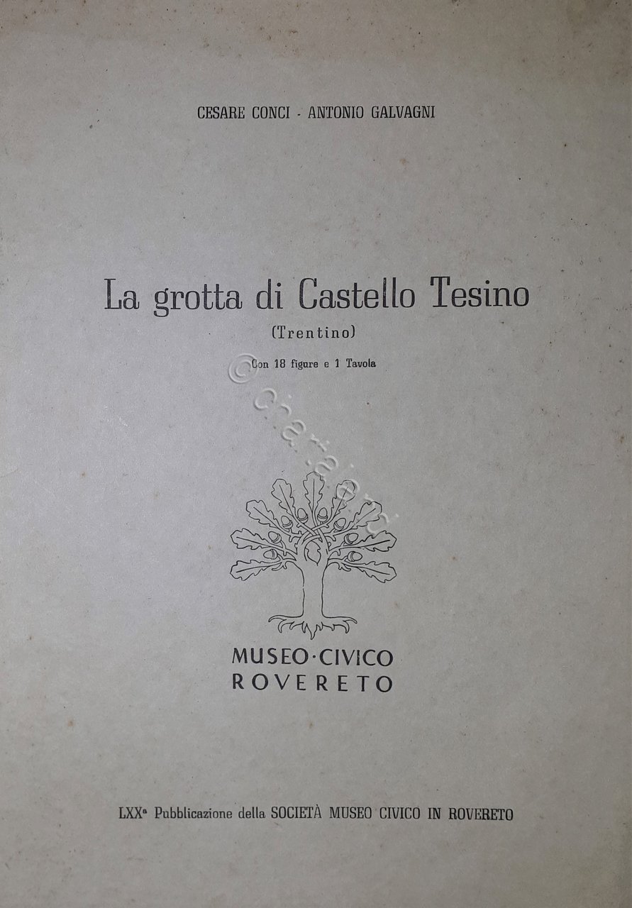 C. Conci e A. Galvagni - La grotta di Castello … | Immagine principale