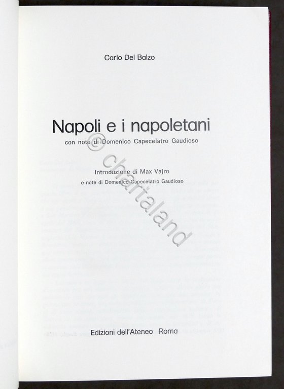 C. Del Balzo - Napoli e i napoletani - 1884 …