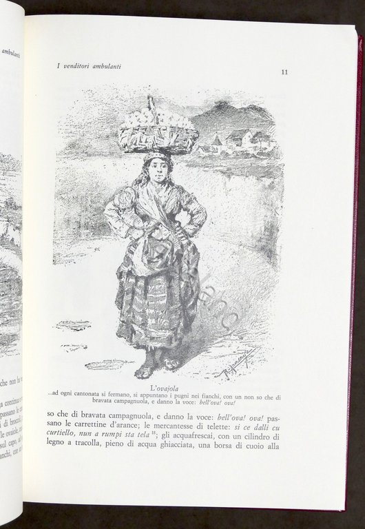 C. Del Balzo - Napoli e i napoletani - 1884 …