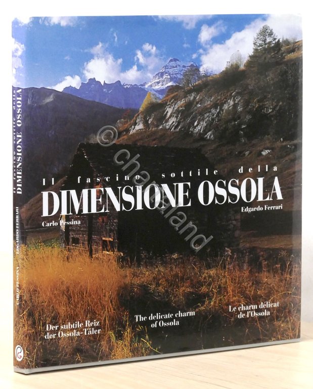 C. Pessina e E. Ferrari - Il fascino sottile della dimensione Ossola - 1994