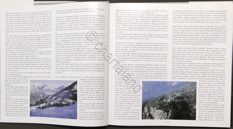 C. Pessina e E. Ferrari - Il fascino sottile della …