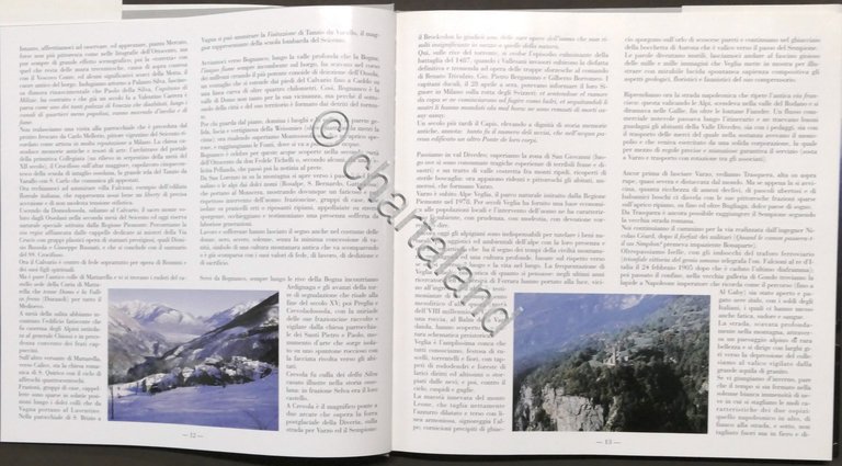 C. Pessina e E. Ferrari - Il fascino sottile della …