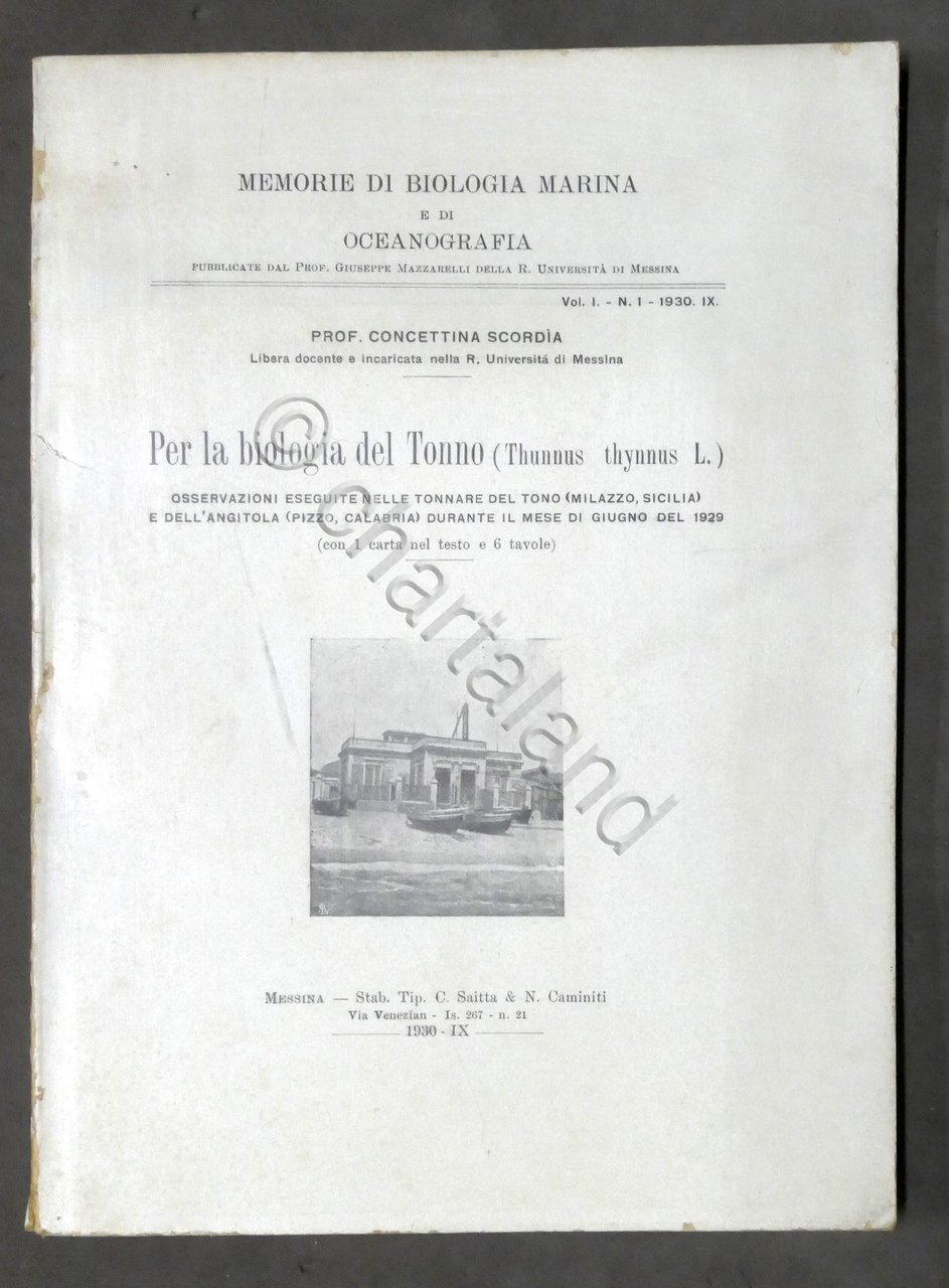 C. Scordia - Per la biologia del Tonno - Osservazioni …