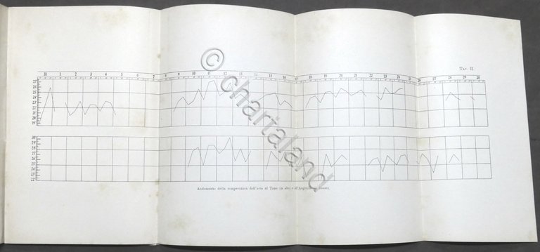 C. Scordia - Per la biologia del Tonno - Osservazioni …