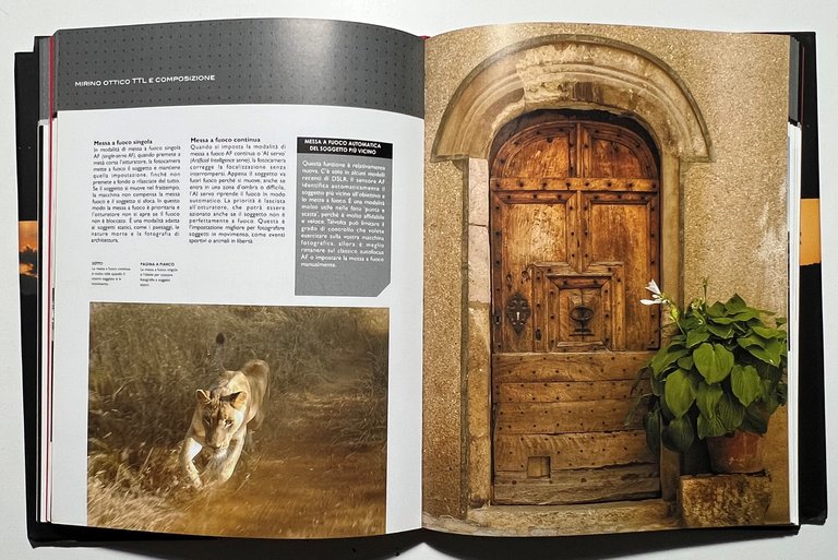 C. Weston - Macchina fotografica Reflex Digitale SLR - ed. …