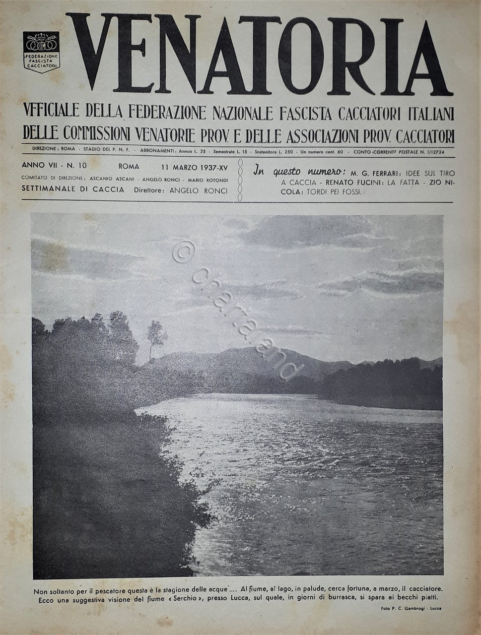 Caccia Rivista - Venatoria N. 10 - Idee sul Tiro …