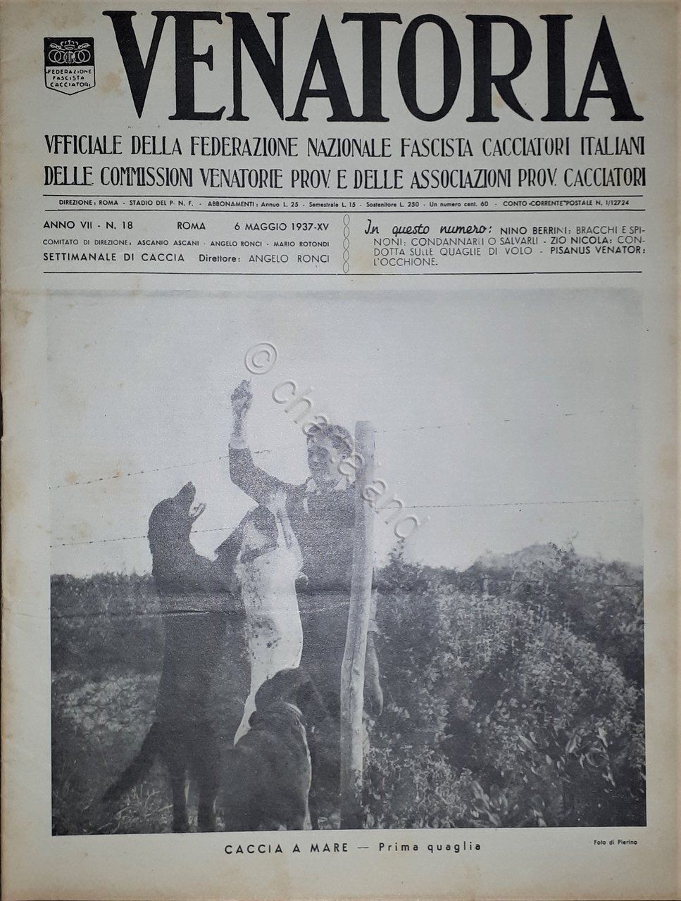 Caccia Rivista - Venatoria N. 18 - Caccia a Mare …