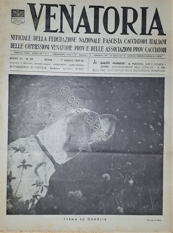 Caccia Rivista - Venatoria N. 26 - Ferma su Quaglia …