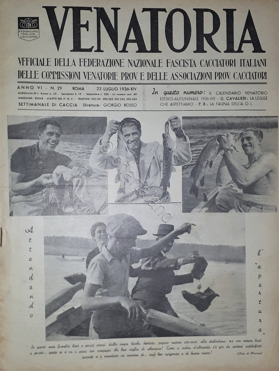 Caccia Rivista - Venatoria N. 29 - La Fauna dell'A. …