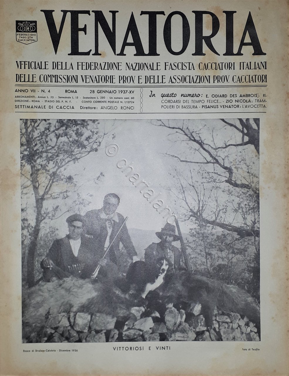 Caccia Rivista - Venatoria N. 4 - Vittoriosi e Vinti …