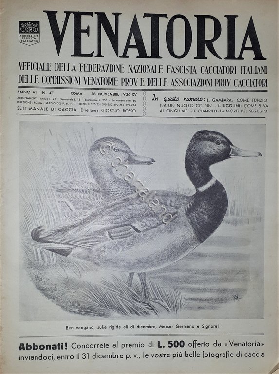 Caccia Rivista - Venatoria N. 47 - 1936