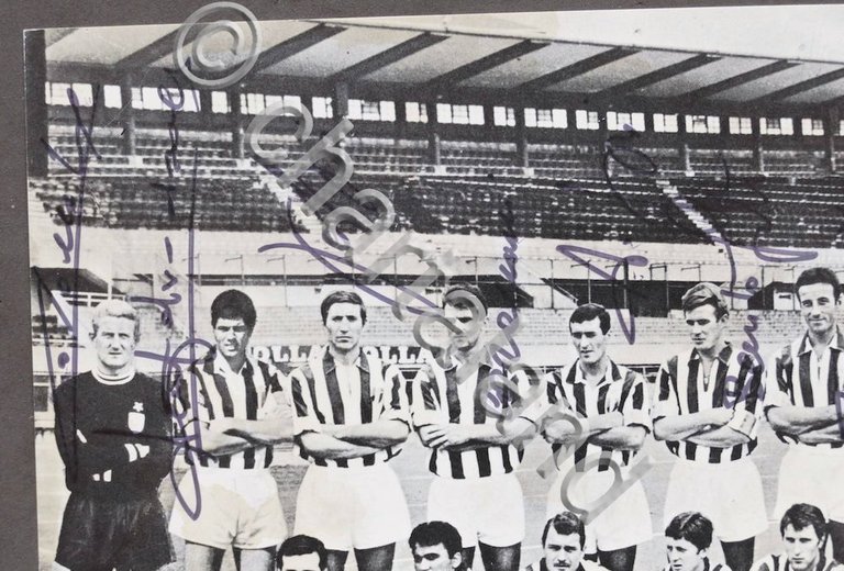 Calcio - 10 autografi Juventus 1967 - 1968 - Salvadore …