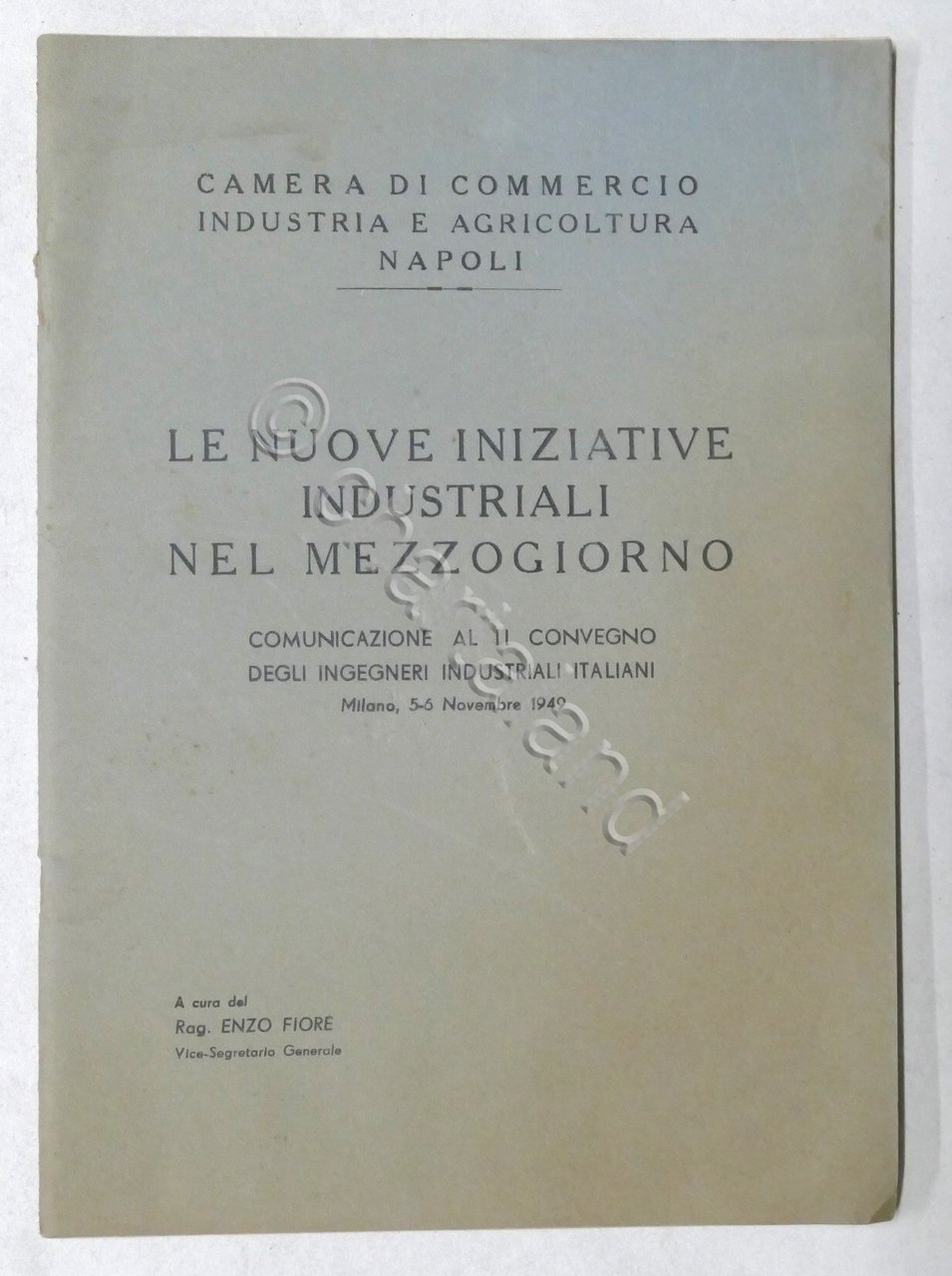 Camera Commercio Napoli - Le nuove iniziative industriali nel Mezzogiorno …
